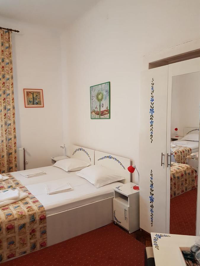 Pensiunea Geostar 2 Curtea de Argeş Extérieur photo