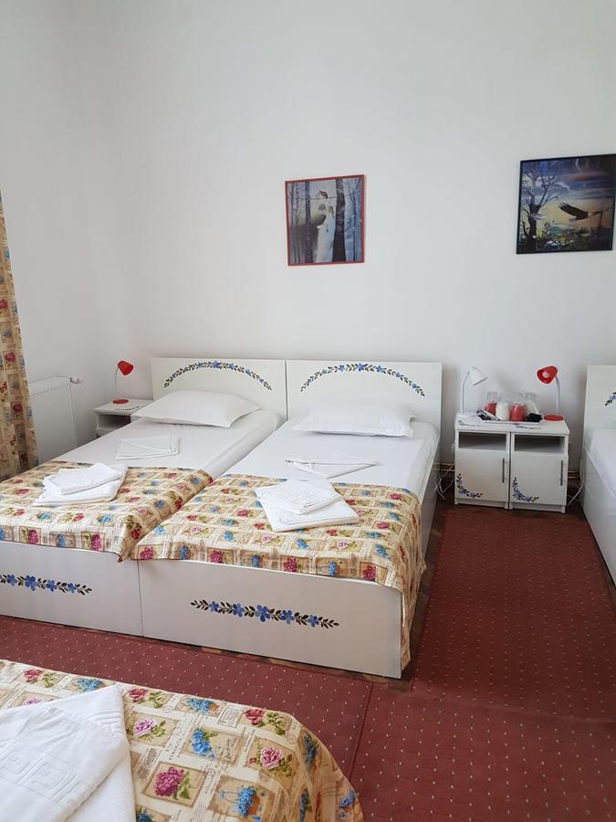 Pensiunea Geostar 2 Curtea de Argeş Extérieur photo