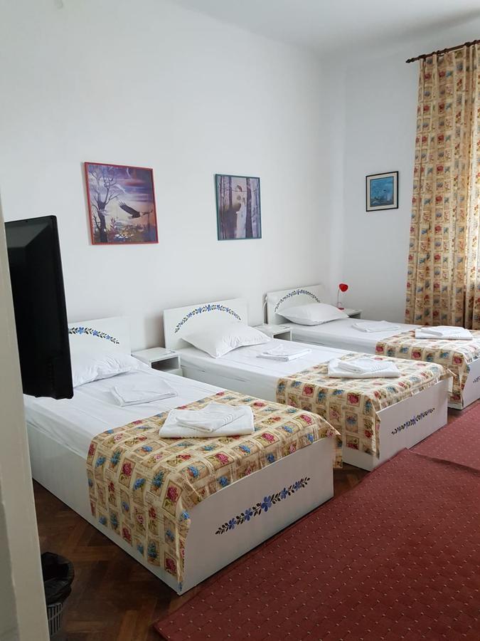 Pensiunea Geostar 2 Curtea de Argeş Extérieur photo