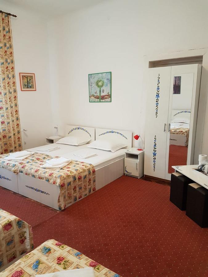 Pensiunea Geostar 2 Curtea de Argeş Extérieur photo