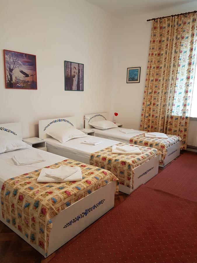 Pensiunea Geostar 2 Curtea de Argeş Extérieur photo