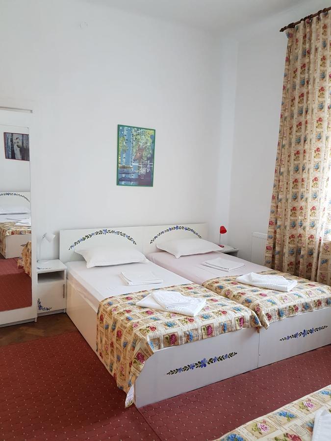 Pensiunea Geostar 2 Curtea de Argeş Extérieur photo