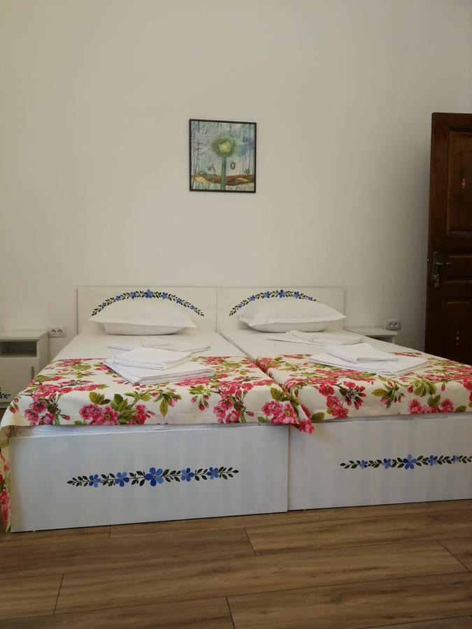 Pensiunea Geostar 2 Curtea de Argeş Extérieur photo