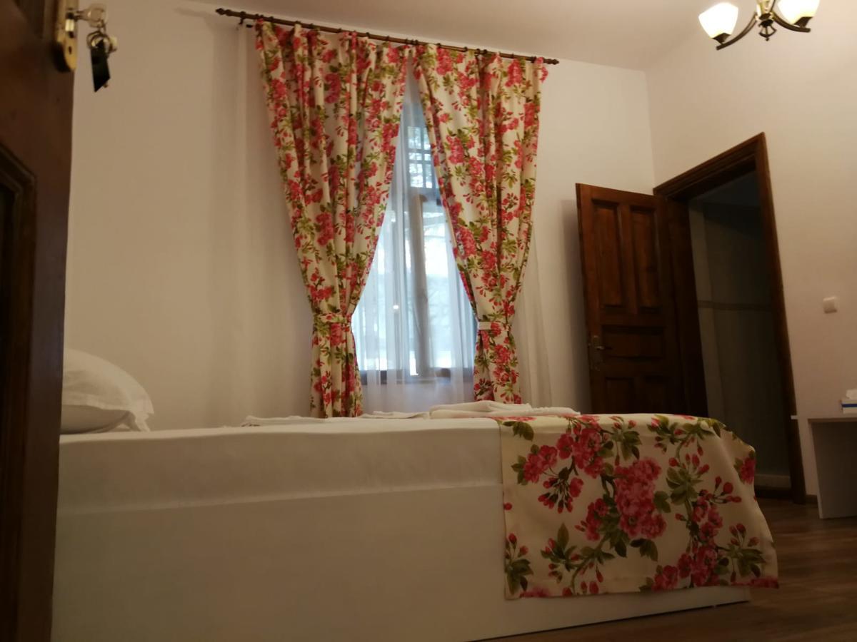 Pensiunea Geostar 2 Curtea de Argeş Extérieur photo