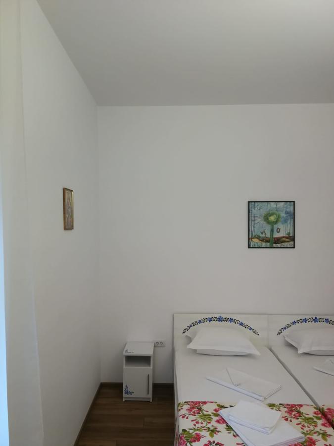 Pensiunea Geostar 2 Curtea de Argeş Extérieur photo